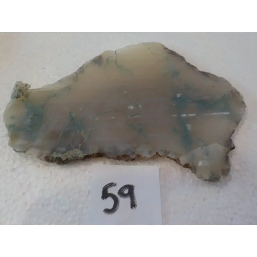 Oregon Moss Agate Maury Mountain Central Oregon Ochoco Rock Slab Translucent